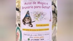 Placa colocada em poste chama atenção de quem passa pela rua: "favor, não insista"