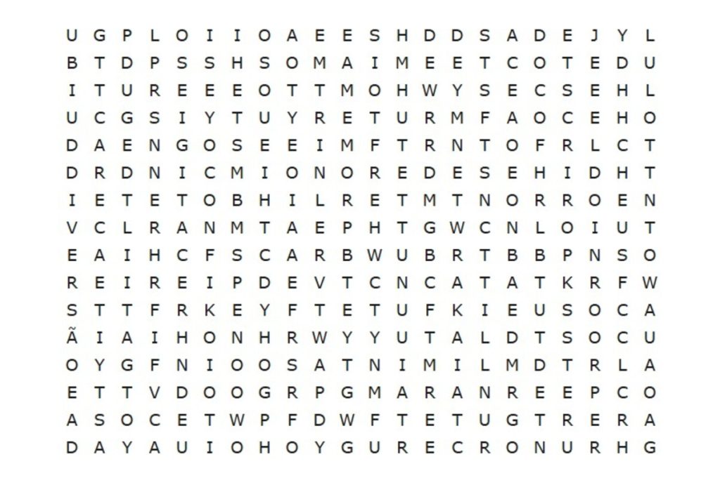 Teste toda a sua agilidade e encontre “DIVERSÃO” e “DESAFIO” em apenas 15 segundos neste caça-palavras