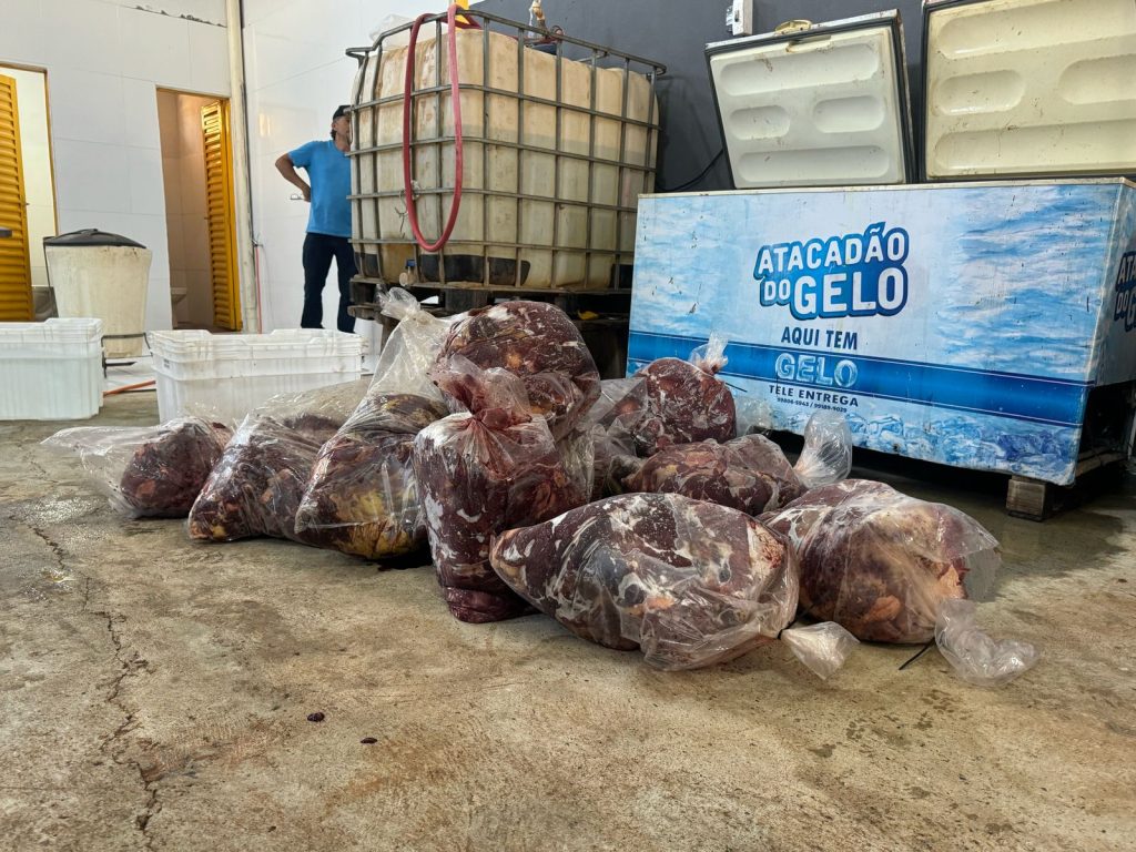 CARNE DE CAVALO