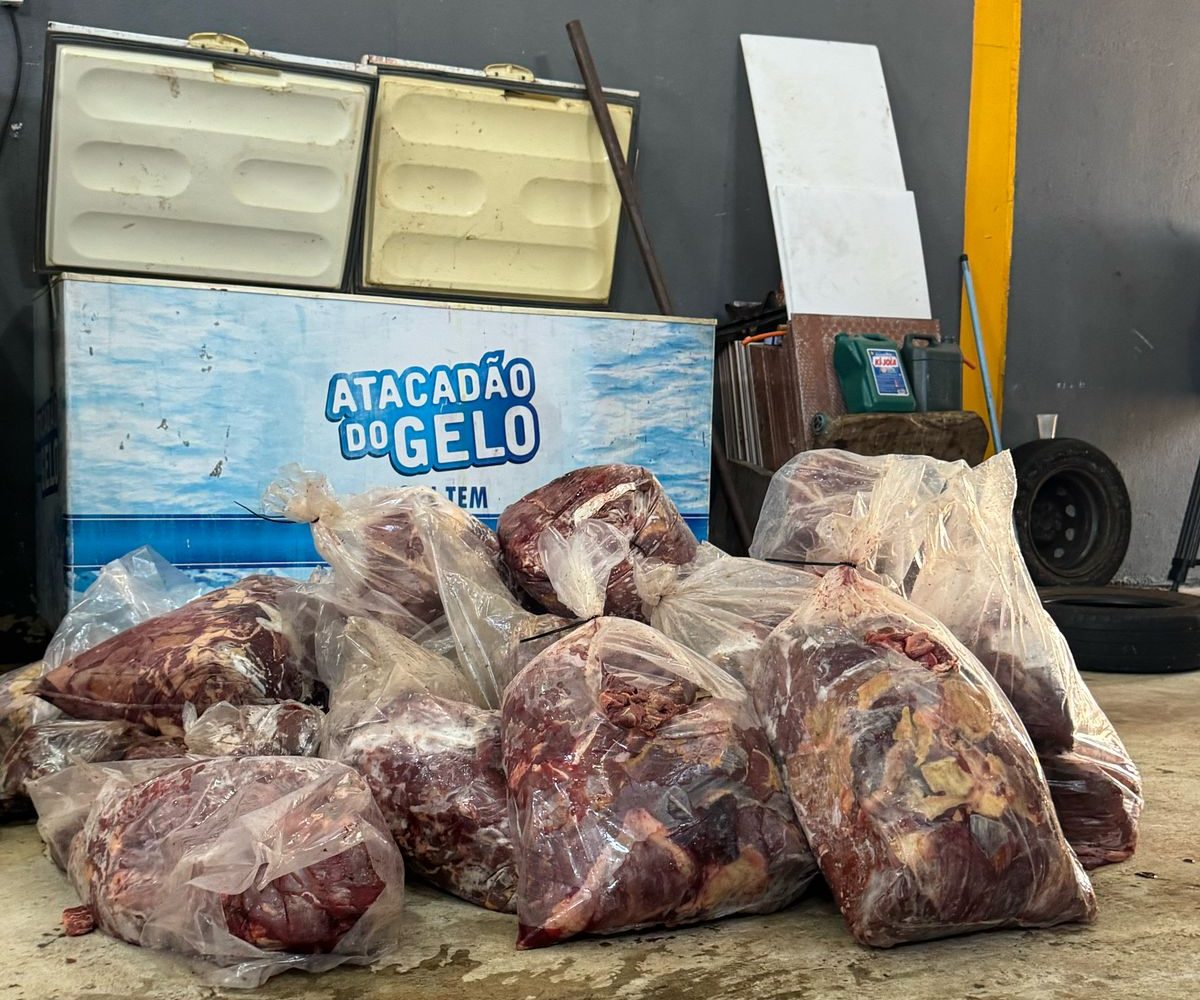 Márcio Corrêa confirma investigação sobre distribuição de carne de cavalos para escolas e creches na gestão passada