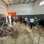 CARNE DE CAVALO