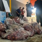 CARNE DE CAVALO