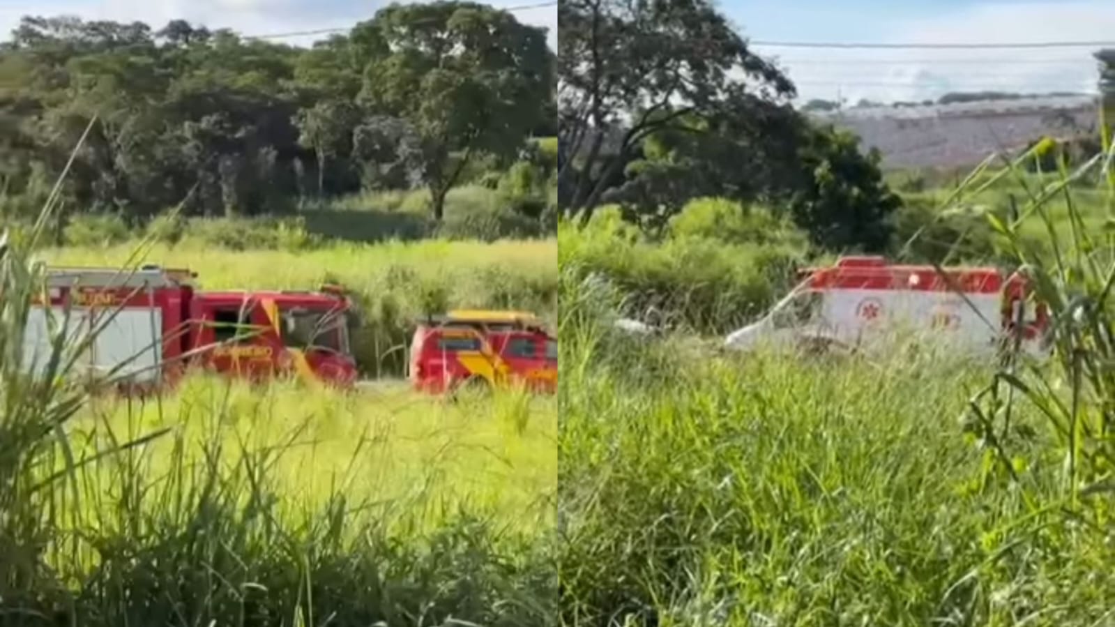 Corpo de criança de 11 anos é encontrado no fundo de córrego em Aparecida de Goiânia