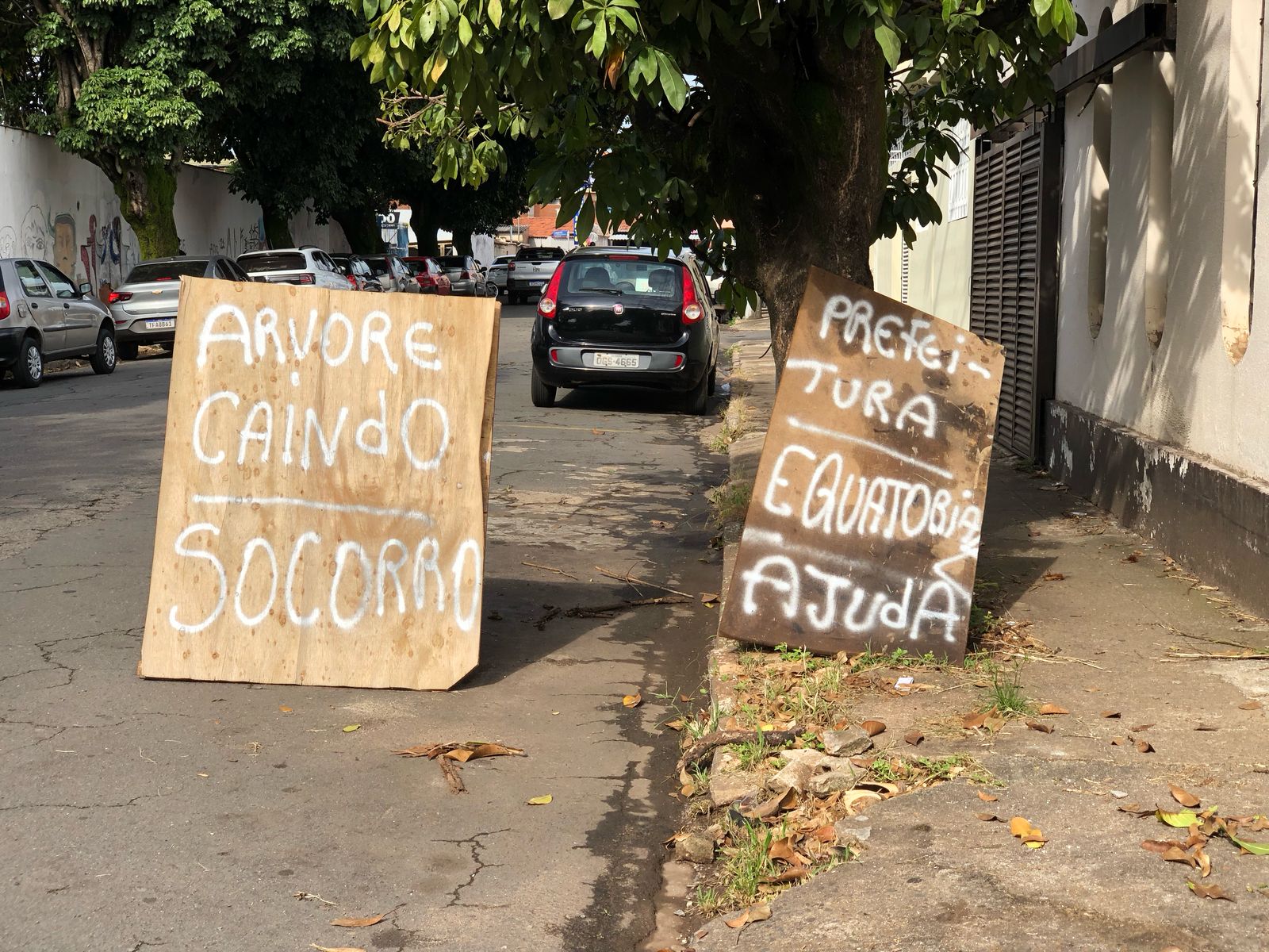 Placa inusitada chama atenção de quem passa pela rua. (Foto: Reprodução)