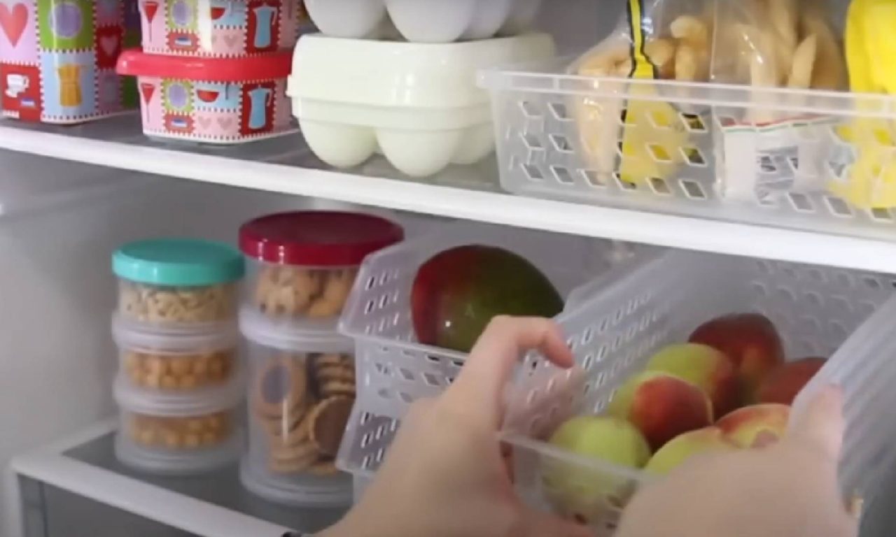 Como organizar a geladeira para evitar desperdício de alimentos