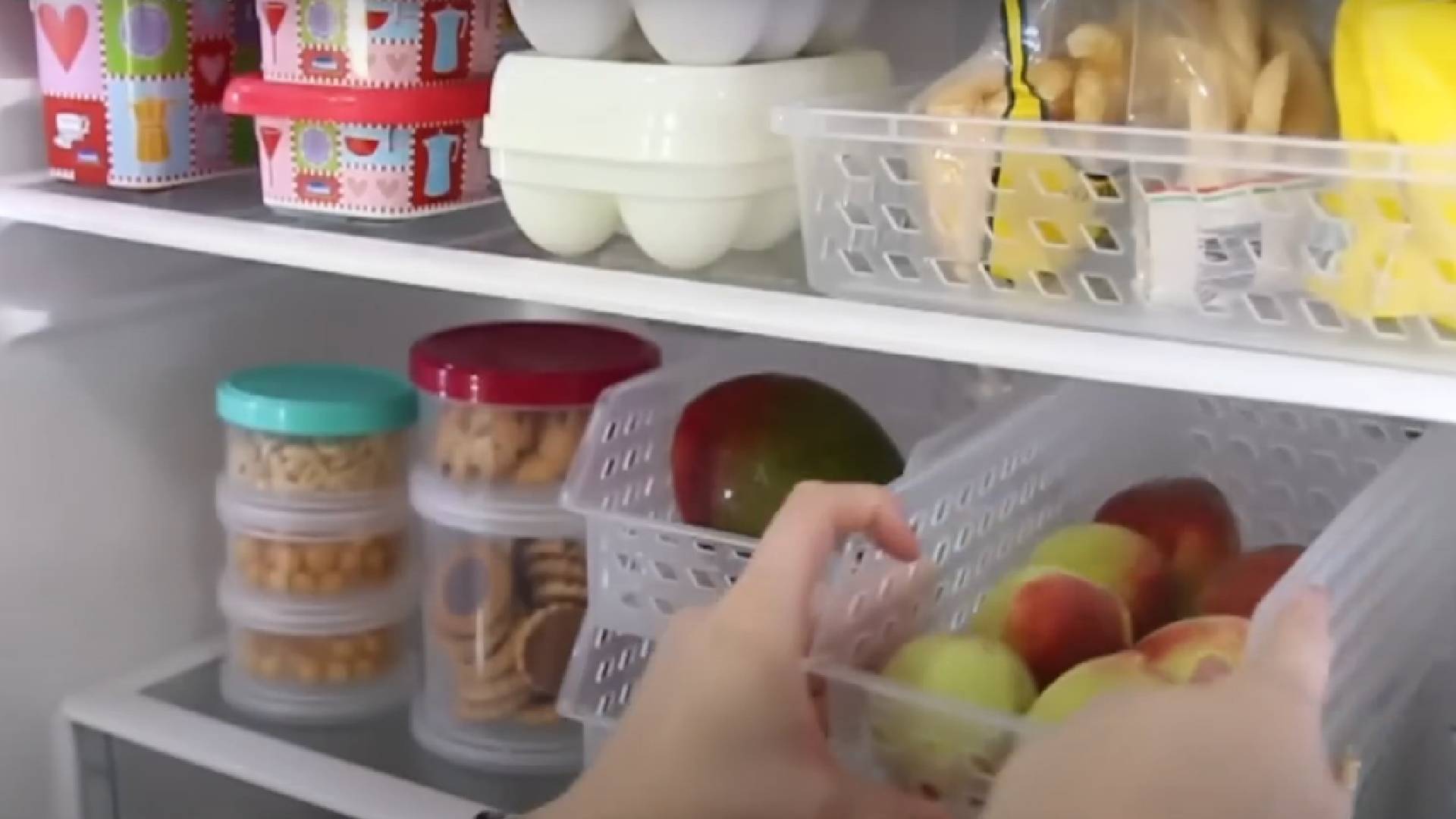 Como organizar a geladeira para evitar desperdício de alimentos