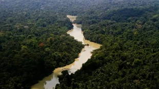 A linguagem mais enigmática do mundo está em solo brasileiro e poucos conhecem