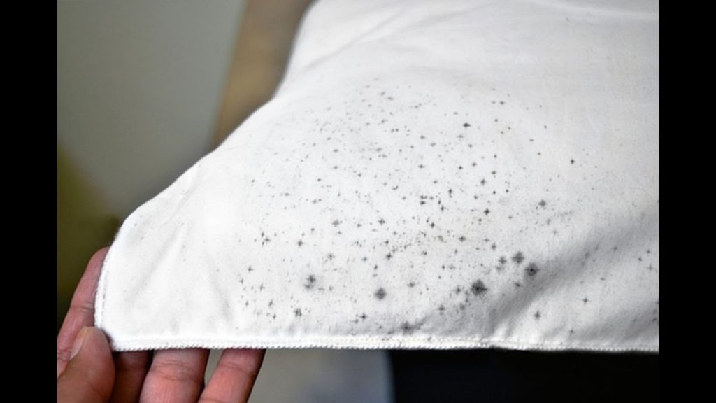 Como tirar mofo das roupas de forma simples e rápida