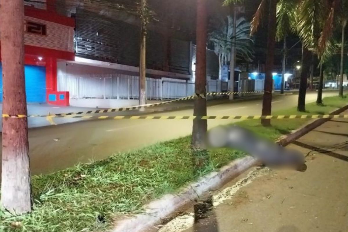 Jovem de 23 anos morre após se chocar com árvore na Avenida Independência