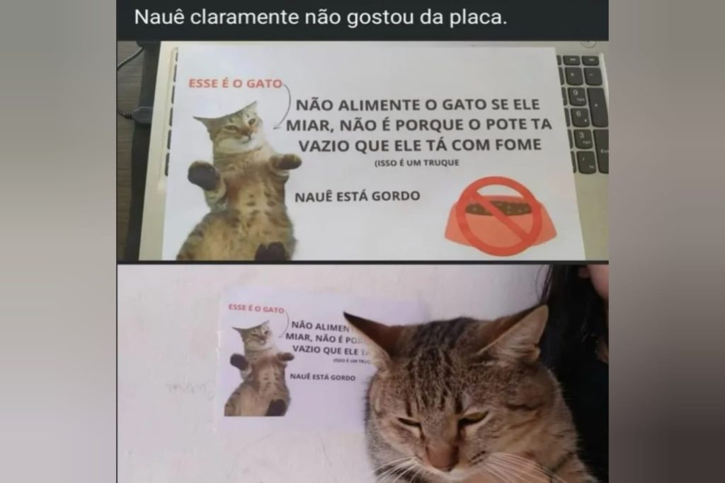 Placa com alerta sobre gato chama atenção de quem visita casa