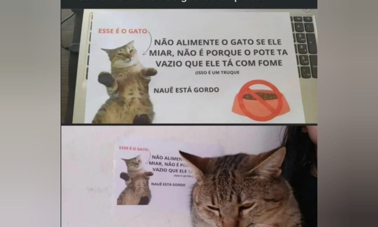 Placa com alerta sobre gato chama atenção de quem visita casa