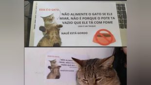 Placa com alerta sobre gato chama atenção de quem visita casa