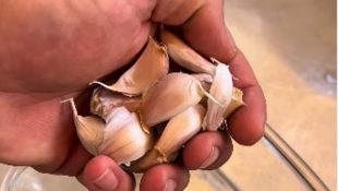 Truque prático para descascar o alho sem ficar com cheiro na mão