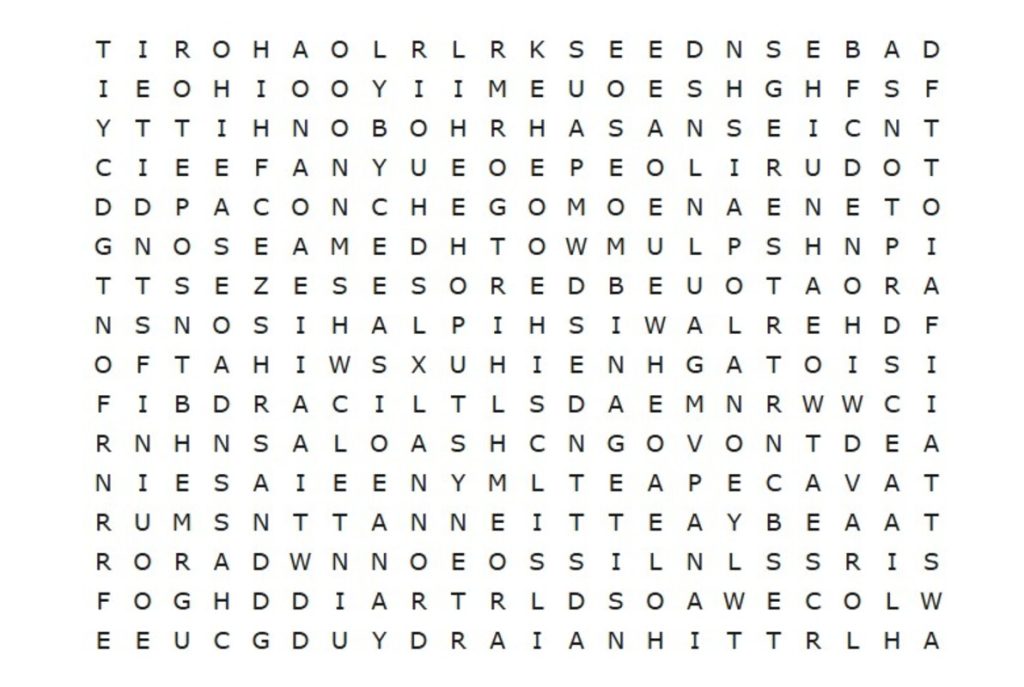 Prove que você tem um intelecto superior e encontre “CASA” e “ACONCHEGO” em apenas 10 segundos neste caça-palavras