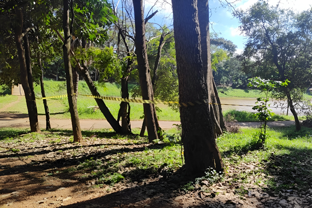 Central Parque Onofre Quinan é isolado após registros de ataques de macacos