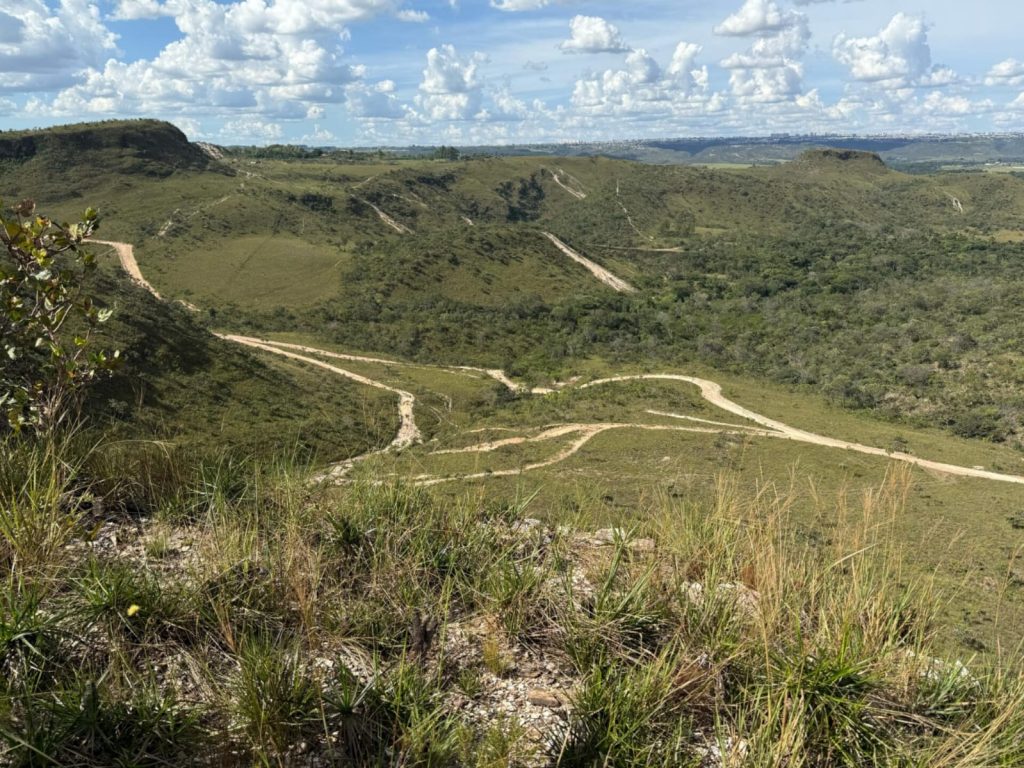 Área escolhida para o empreendimento é ideal para plantio de vinhedos. (Foto: Divulgação) vinho