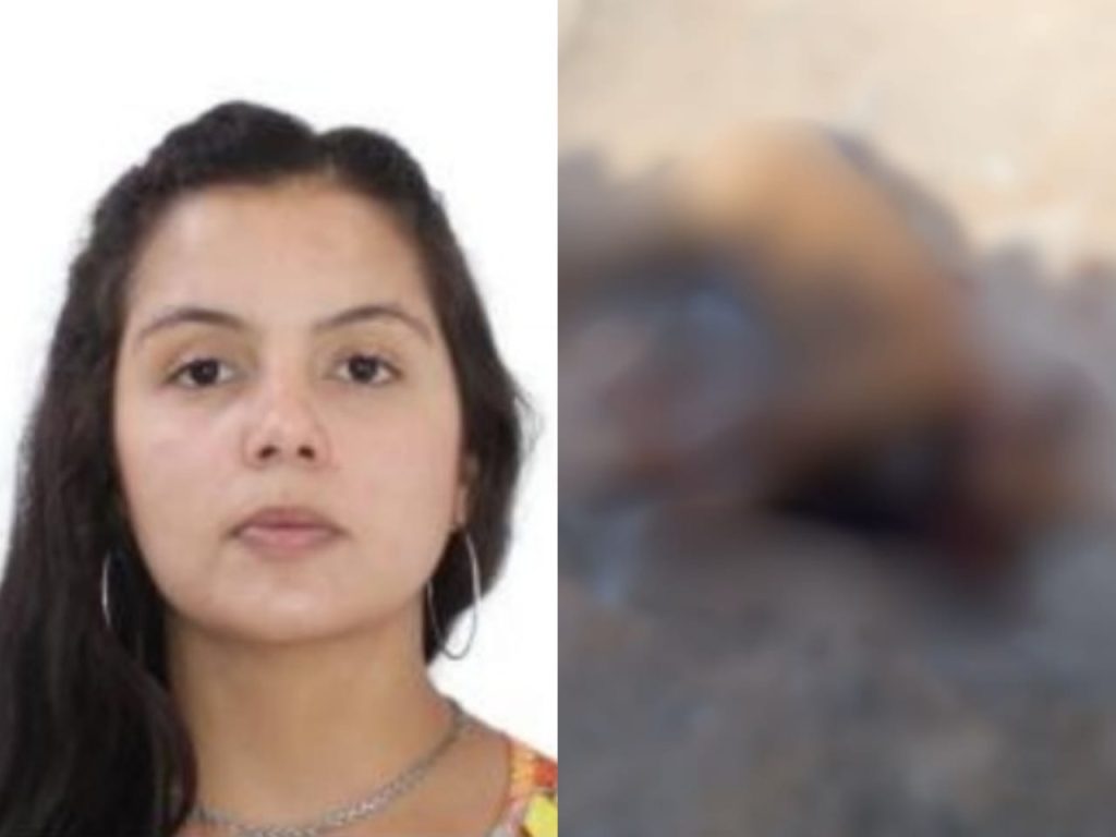 Vizinhos tiveram de abater o animal. (Foto: Reprodução)