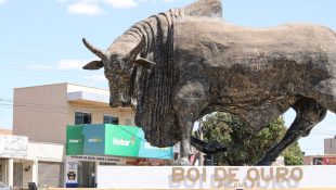 Boi de Ouro, monumento localizado na entrada de Anicuns (Foto: Google)