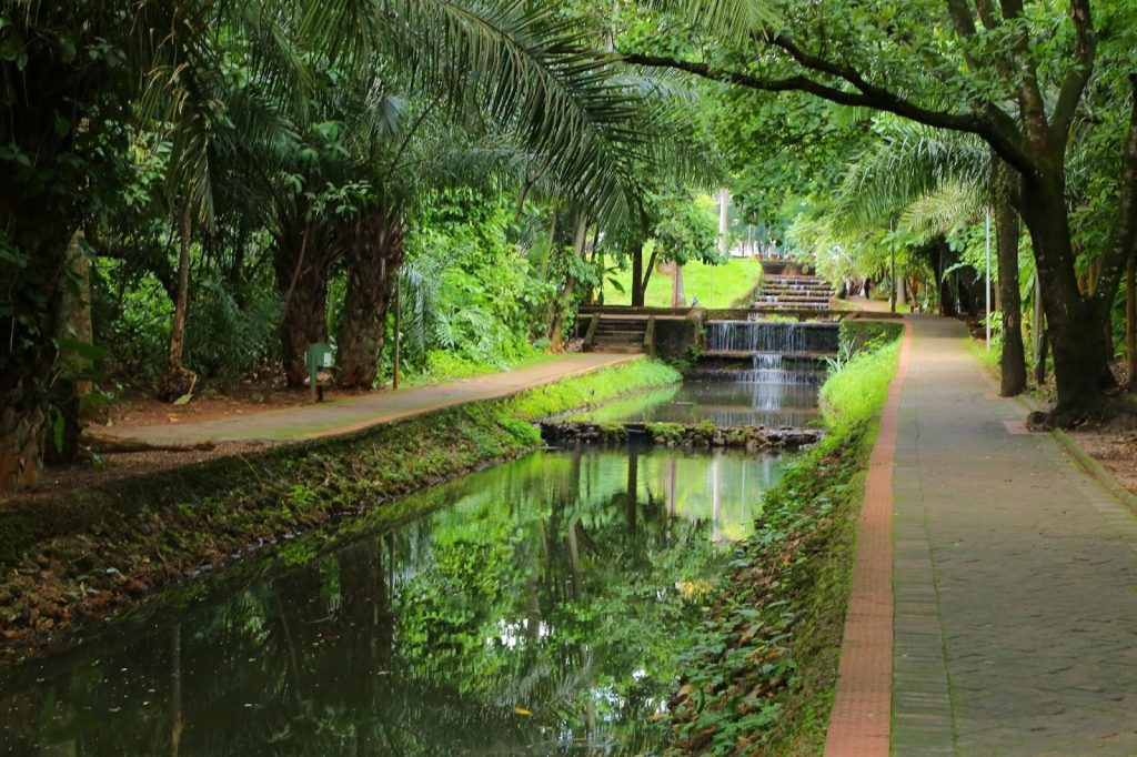 Trilha passa por diversos pontos turísticos da cidade, como o Bosque dos Buritis (Foto: Jackson Rodrigues)
