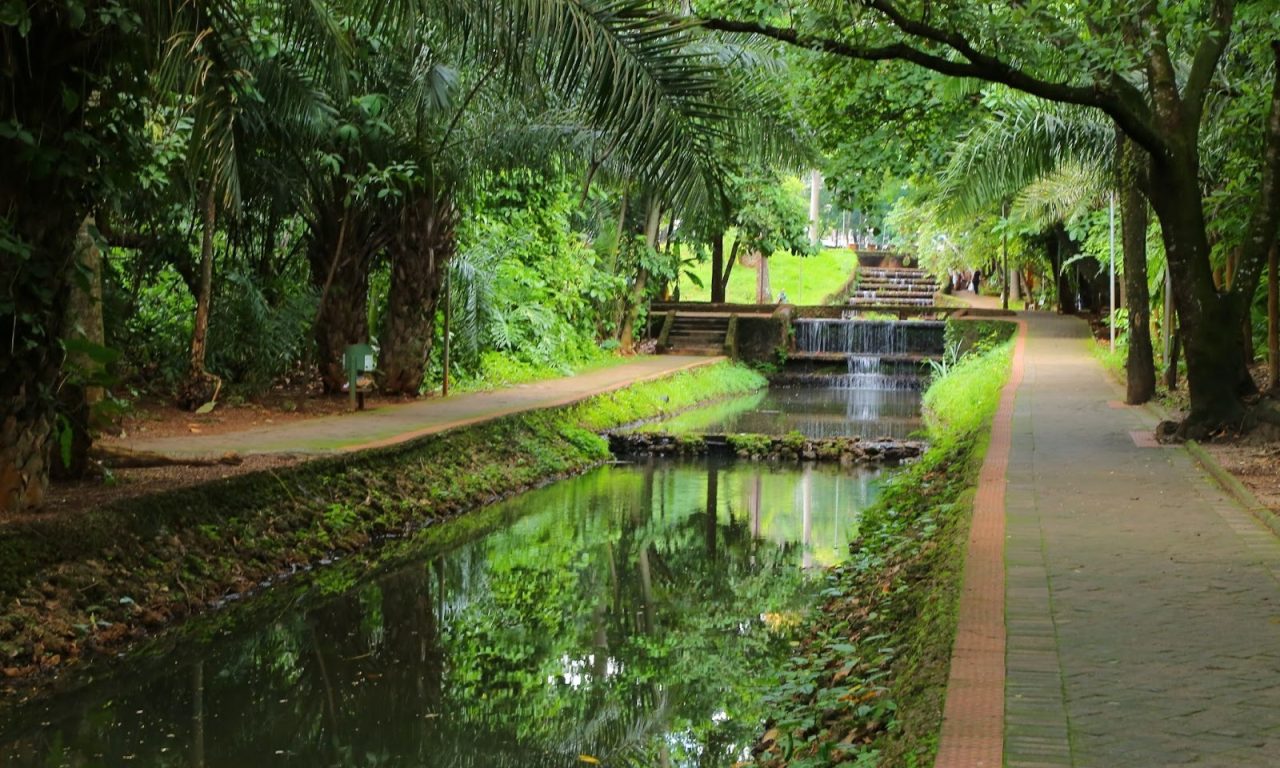 Trilha passa por diversos pontos turísticos da cidade, como o Bosque dos Buritis (Foto: Jackson Rodrigues)