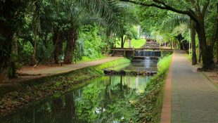 Trilha passa por diversos pontos turísticos da cidade, como o Bosque dos Buritis (Foto: Jackson Rodrigues)