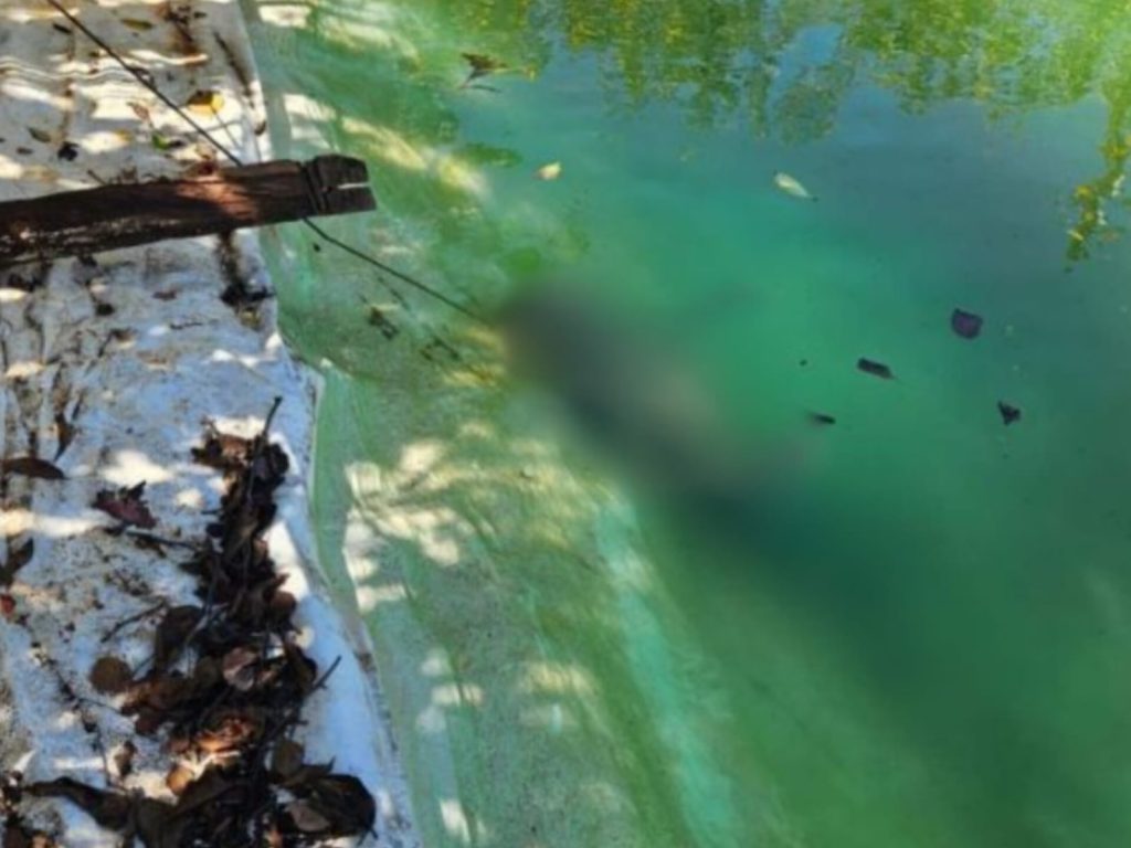 Autoridades encontraram o corpo já submerso. (Foto: Reprodução)