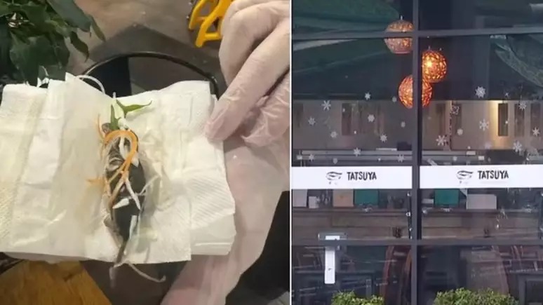 Mulher grávida fica horrorizada ao ver o que estava em comida de restaurante: “simplesmente revoltante”