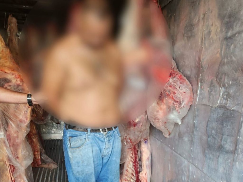 Suspeitos utilizavam pesos de chumbo para fraudar na hora da pesagem. (Foto: Divulgação/PC)