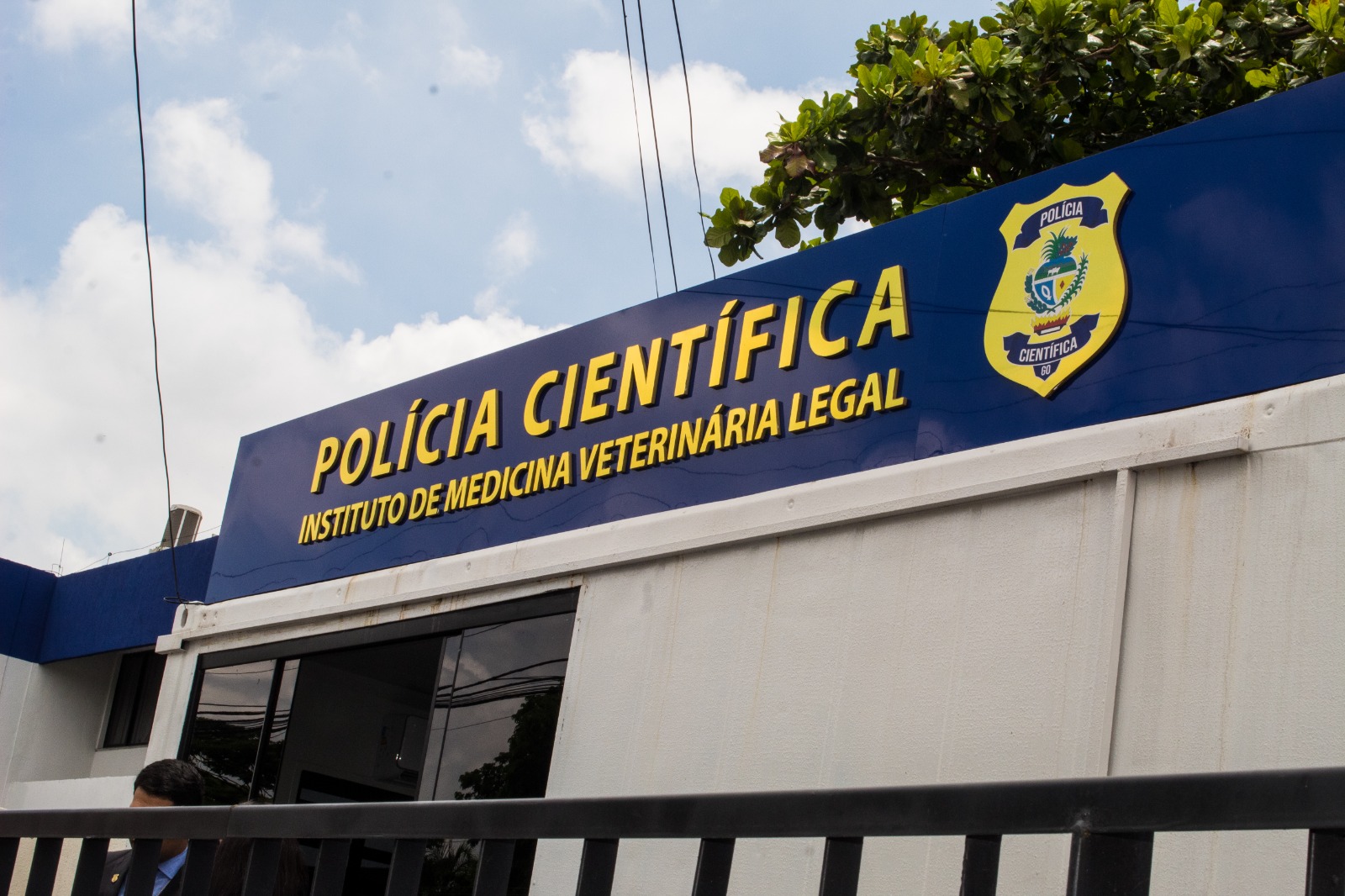 Justiça para os inocentes: envenenamento de gatos em Anápolis é investigado com apoio do IML Veterinário