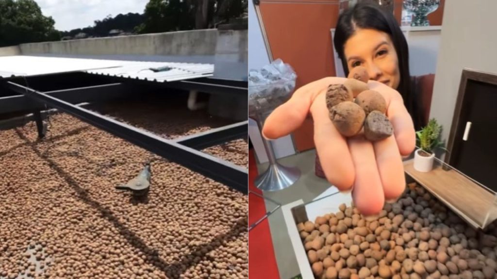 O segredo dos ricos para manter a casa sempre fresquinha