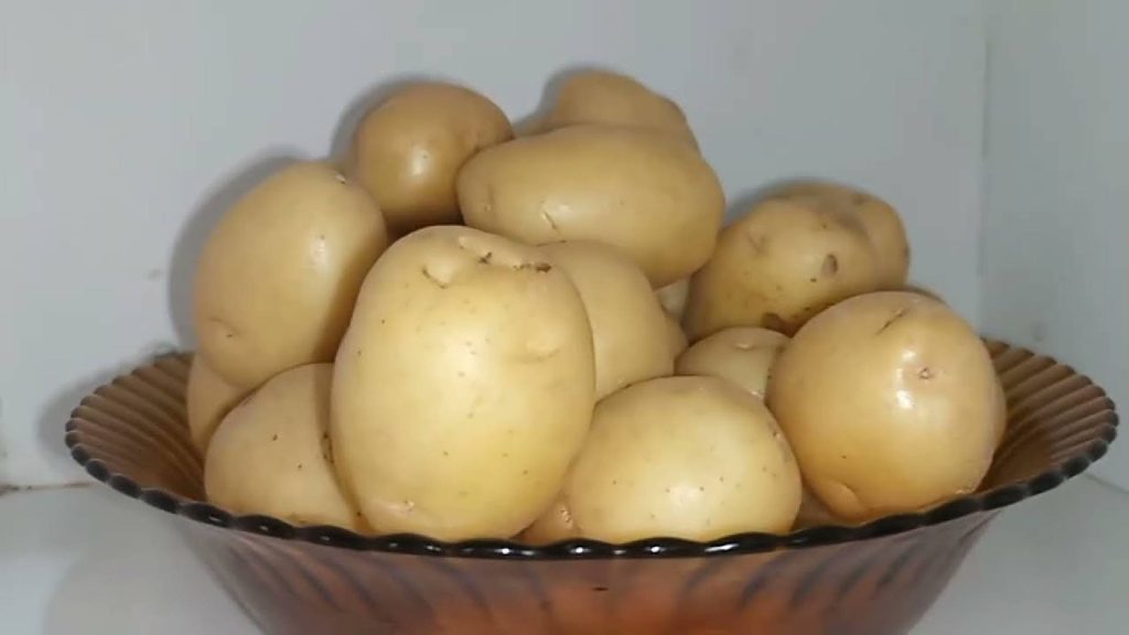 O jeito certo de armazenar batatas e mantê-las frescas por mais tempo
