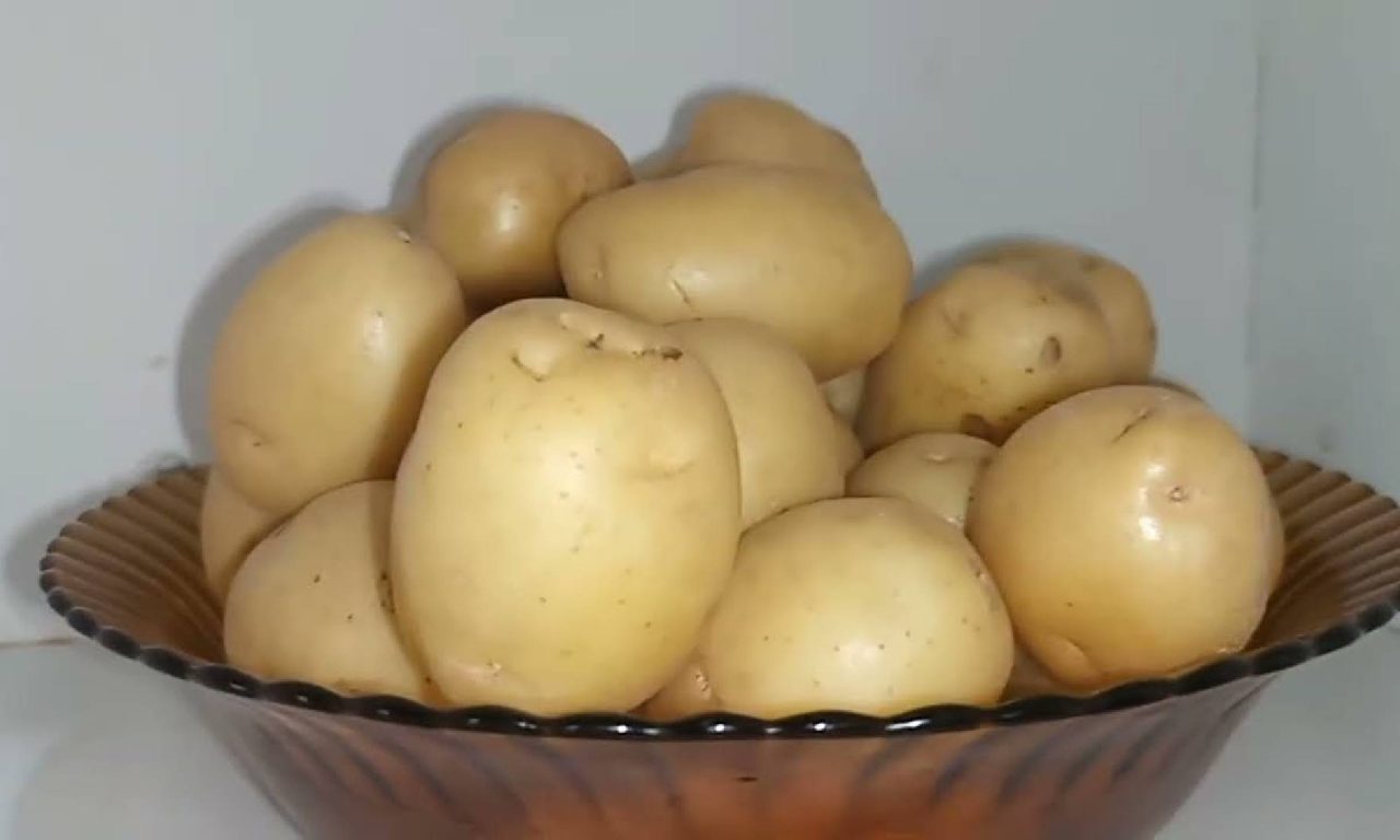 O jeito certo de armazenar batatas e mantê-las frescas por mais tempo
