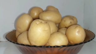 O jeito certo de armazenar batatas e mantê-las frescas por mais tempo