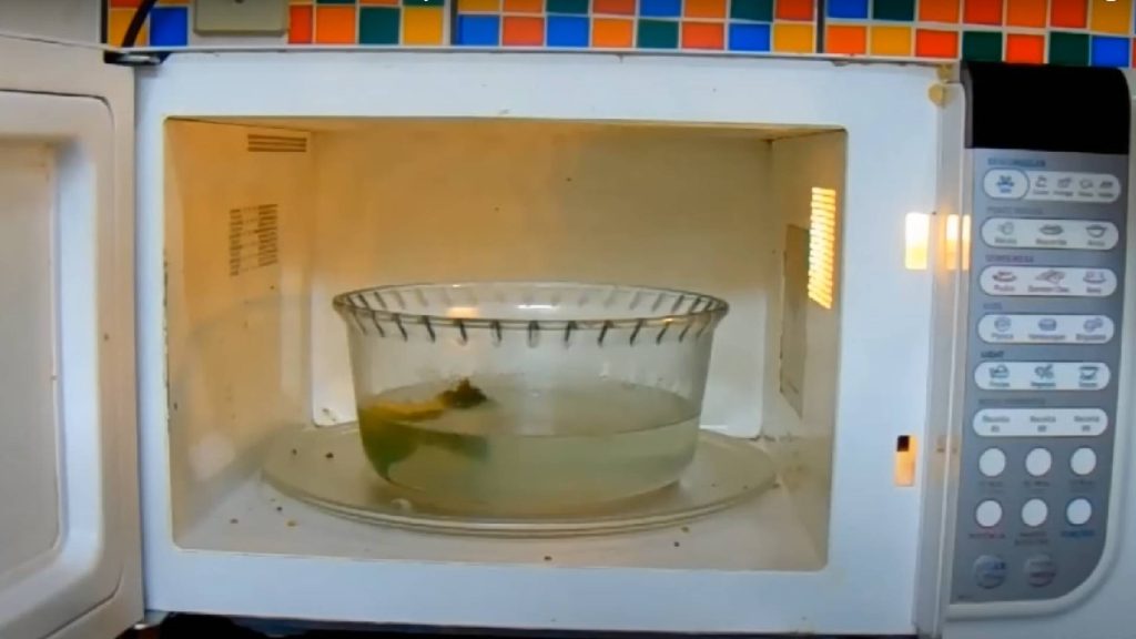 Truque caseiro para limpar o micro-ondas em poucos minutos e deixá-lo brilhando