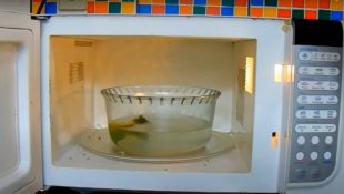 Truque caseiro para limpar o micro-ondas em poucos minutos e deixá-lo brilhando