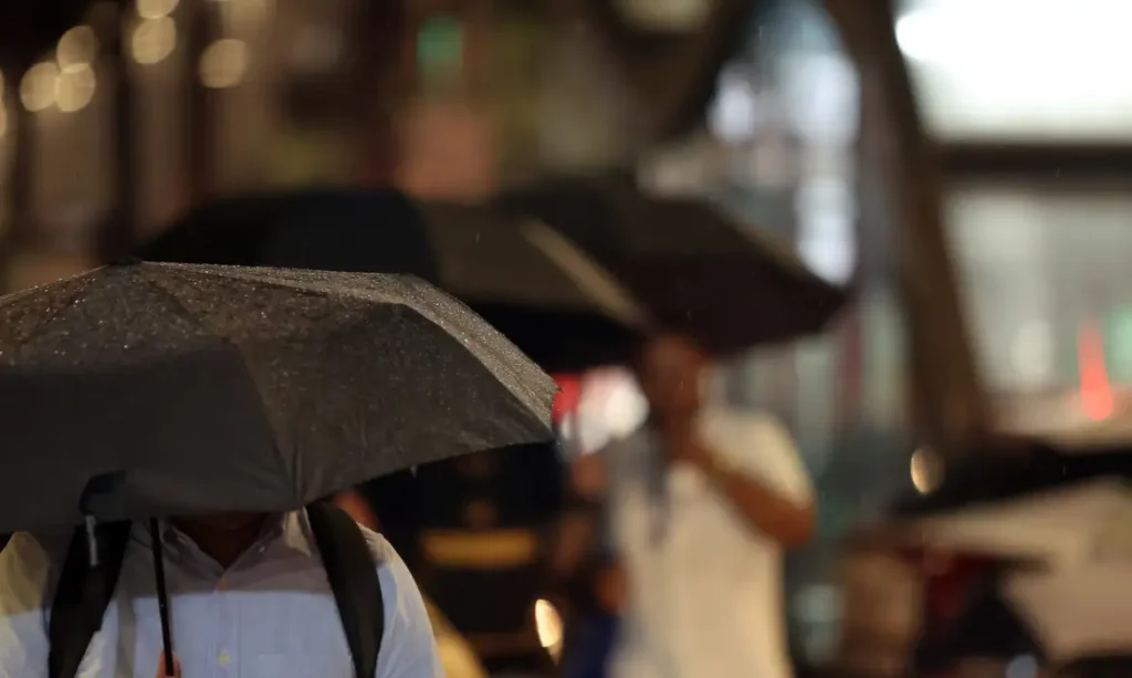 Água da chuva pode estar contaminada por agrotóxico, diz estudo