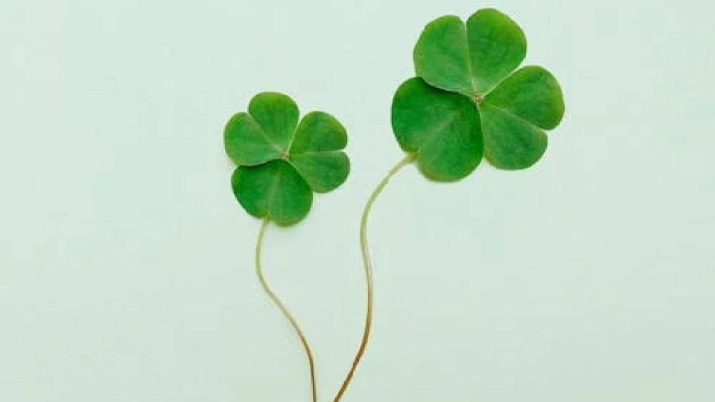 6 signos que terão dias de muita sorte em abril 