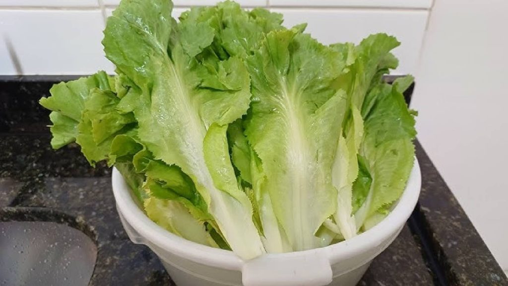 Conheça verdura que elimina gordura pelas fezes e reduz o colesterol