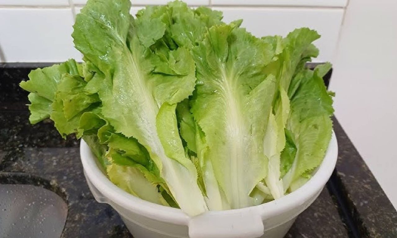 Conheça verdura que elimina gordura pelas fezes e reduz o colesterol
