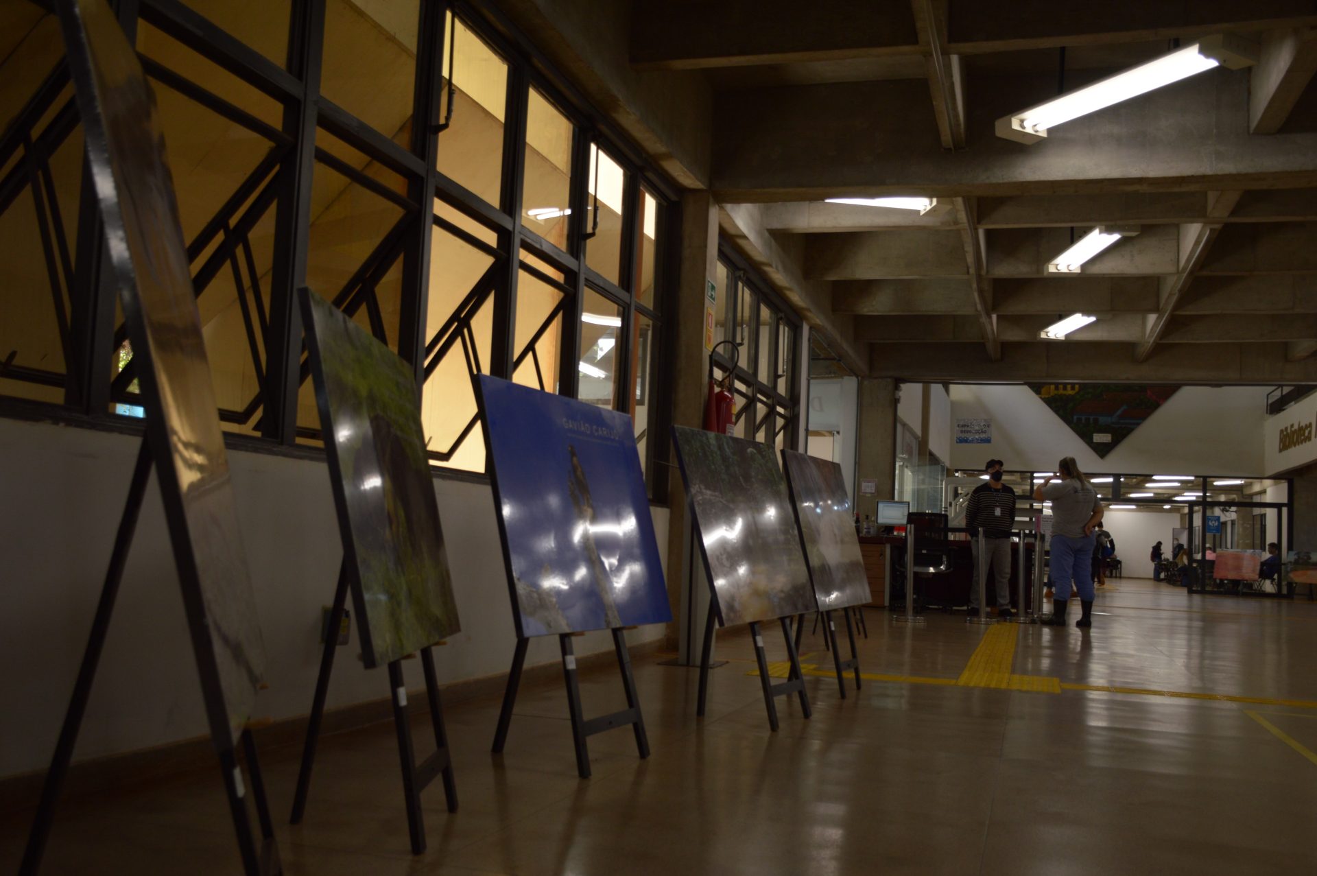 10 profissões que pagam bem e são tranquilas, sem muito estresse no dia a dia