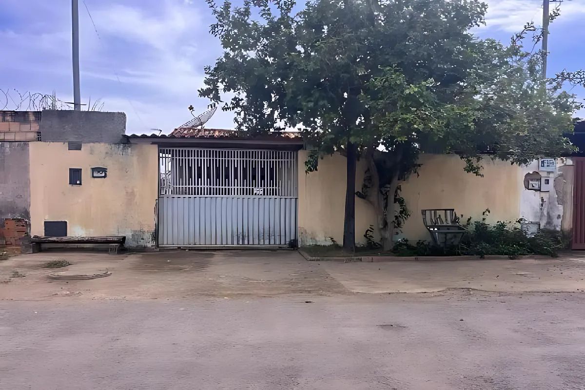 leilão