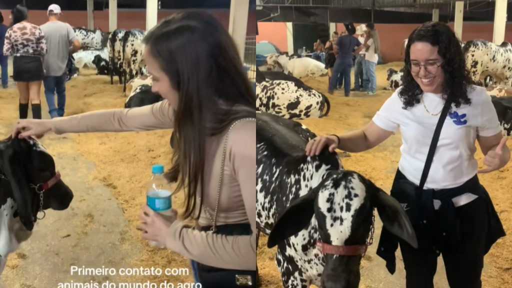 Reação das amigas ganhou as redes sociais (Foto: Reprodução)