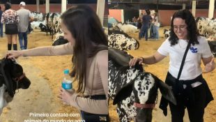 Reação das amigas ganhou as redes sociais (Foto: Reprodução)
