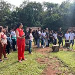 Programa Sementes do Cerrado..