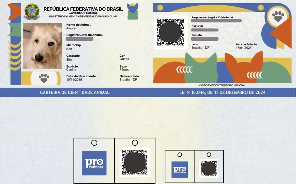 Passo a passo para fazer um RG para o seu pet (é simples e fica pronto na mesma hora)