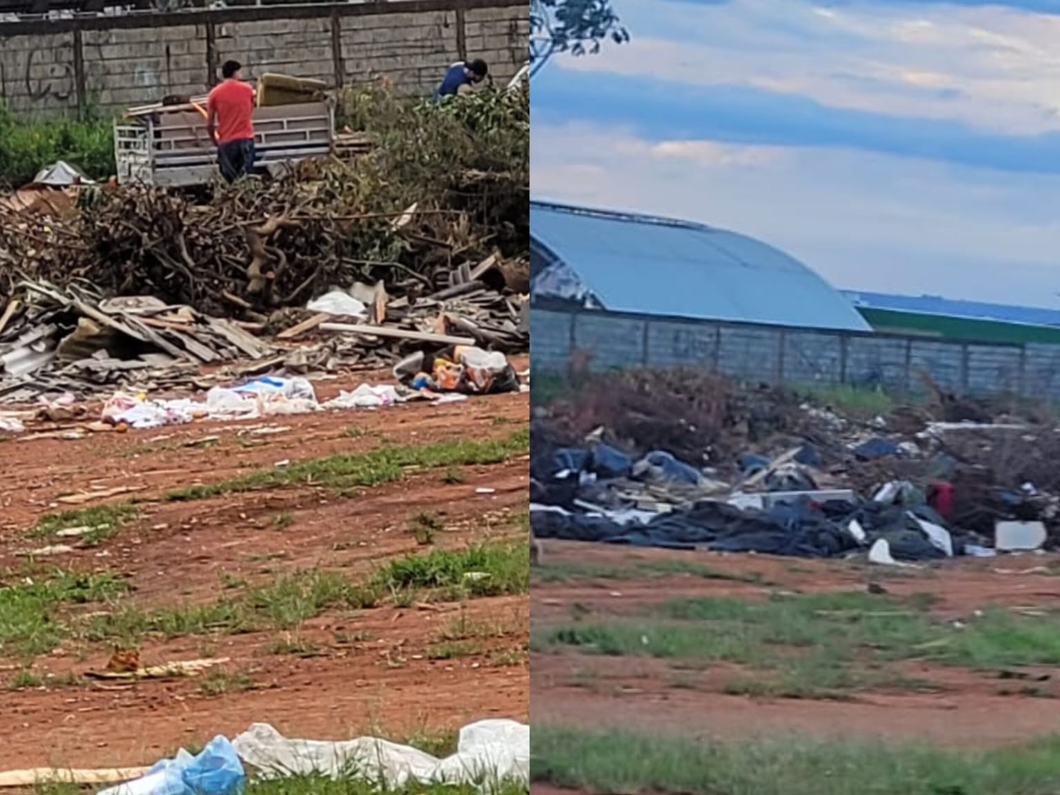 Foram diversos os flagras registrados pela moradora. (Foto: Arquivo Pessoal)