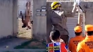 Bombeiros foram cionados para fazer o resgate do homem, que estava completamente nu. (Foto: Reprodução)