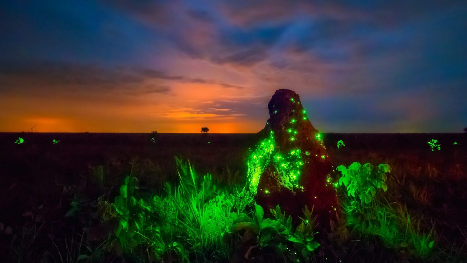 Região mágica em Goiás atrai turistas de todo o mundo (fenômeno natural)