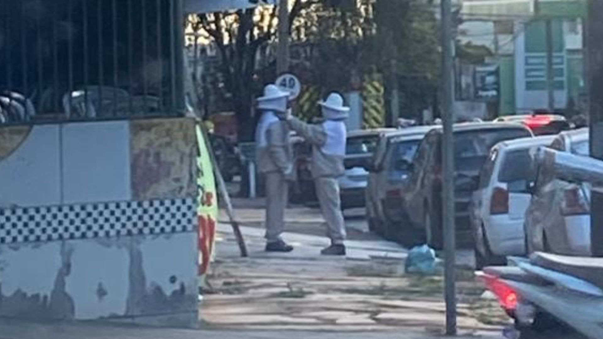 Homem fica em estado grave após ataque de abelhas na Avenida Goiás, em Anápolis