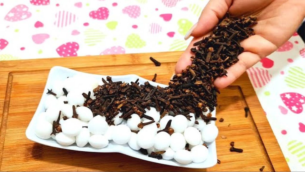 Soluções naturais e eficazes para acabar com a traça na sua casa